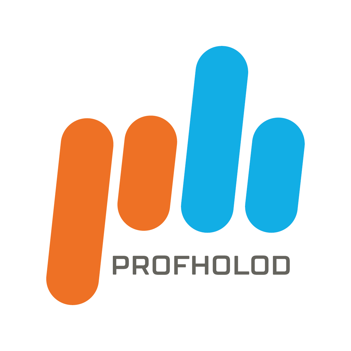 Logo 2