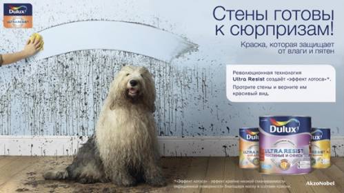 AkzoNobel 499x280