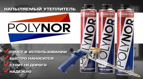 Polynor 1 499x278